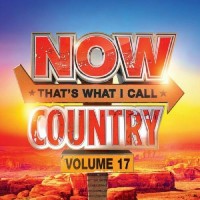 Now That's What I Call Country Vol. 17 - Various Artists